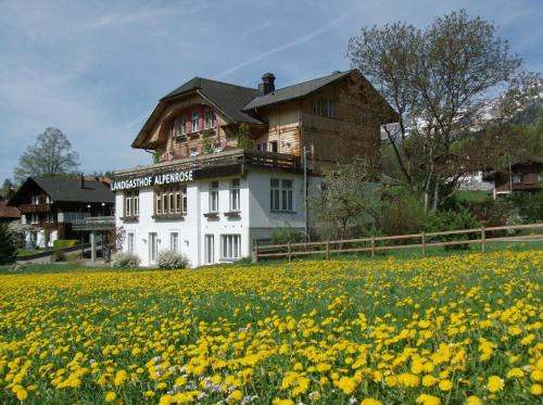 Hofstetten bei Brienz Cama Y Desayuno | Hotel Alpenrose beim Ballenberg