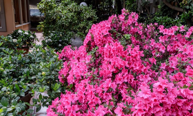 Forte dei Marmi Hotel | Hotel Astor Victoria