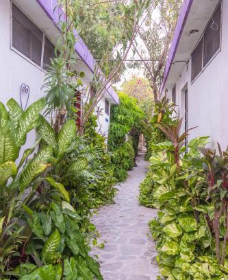 Barrio de Santiago Hotel | Hotel Aventura