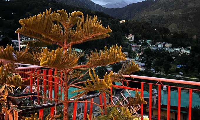 Dharamshala Hotel | Hotel Bacpacker inn