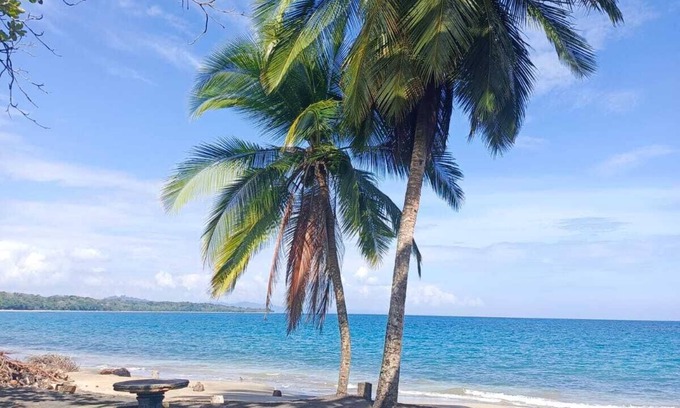 Manzanillo Hotel | Hotel Boutique D Angelo