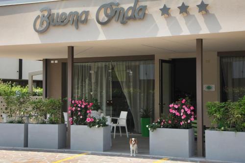 Peschiera del Garda Hotel | Hotel Buena Onda