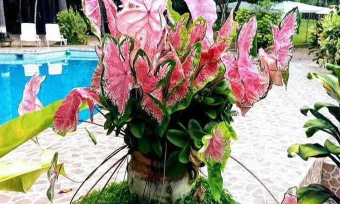 Santa Ana Hotel | Hotel Campestre Santa Ana