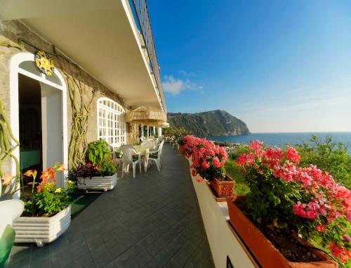 Forio Hotel | Hotel Casa del Sole