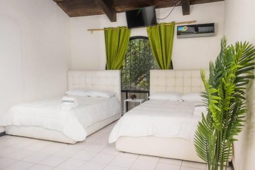 Ciudad Cariari Hotel | Hotel Casona del Valle