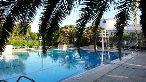 Cattolica Hotel | Hotel Cormoran