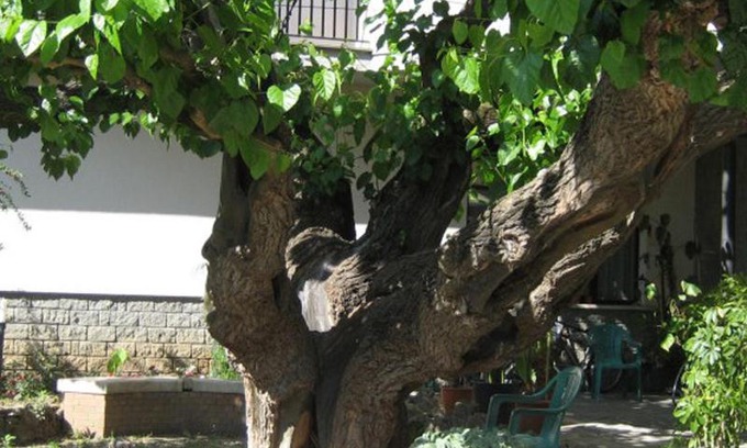 Attigliano Hotel | Hotel da Rosanna