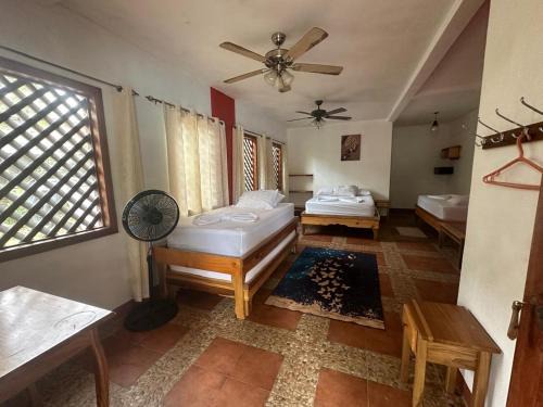 Tortuguero Casa | Hotel Don Quichotte