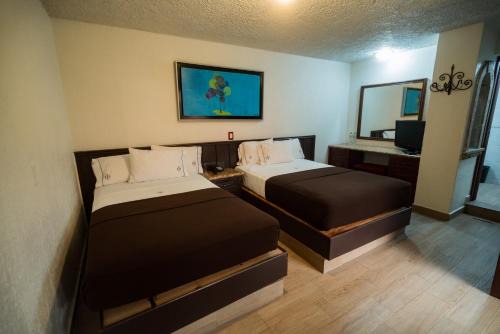 Centro de Guadalajara Hotel | Hotel Don Quijote Plaza - Guadalajara Centro Historico