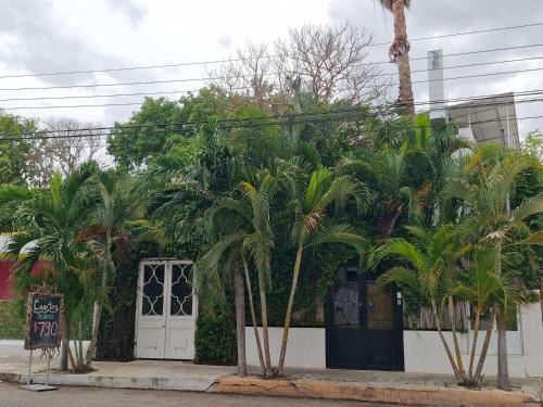 Merida Municipality Hotel | Hotel Downtown Merida