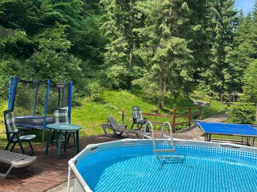 Palyanytsya Hotel | Hotel Dykyi Med