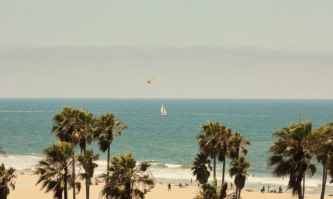 Venice Hotel | Hotel Erwin Venice Beach