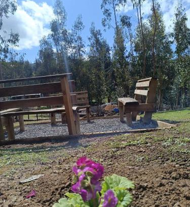 Hualane Hotel | Hotel Estancia Don Domingo