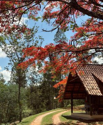 Ouro Fino Casa | Hotel Fazenda Menino da Porteira