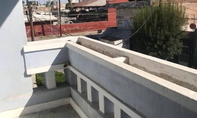 Torreón Hotel | Hotel Fundadores