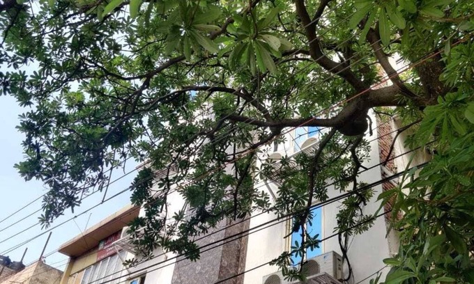 Sector 3 Hotel | Hotel Green Arrow Rohini