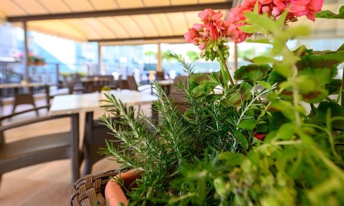 Rivabella Hotel | Hotel Harmony