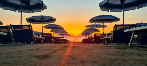 Porto San Giorgio Hotel | Hotel Il Timone