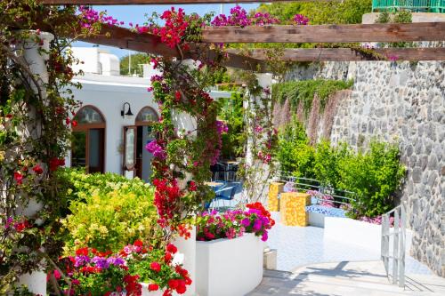 Barano d'Ischia Hotel | Hotel La Mandorla