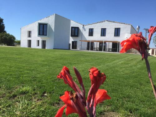 Deltebre Hotel | Hotel Mas Catxina