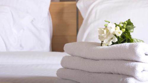 Rivazzurra Hotel | HOTEL Mezzaluna