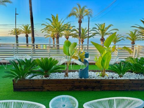 Los Cuarteros Hotel | Hotel Neptuno