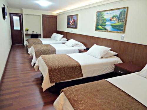 Temuco Hotel | Hotel Newen