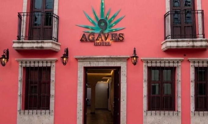 Tequila Hotel | Hotel Nueve Agaves