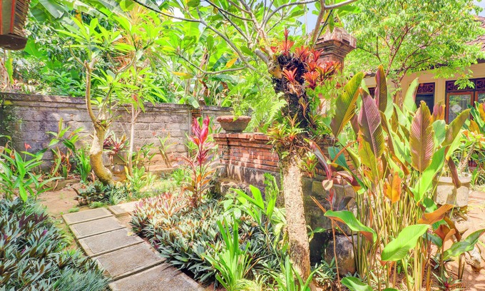 Ubud City-Centre Hotel | Hotel O Ubud Asri Homestay Near Monkey Forest