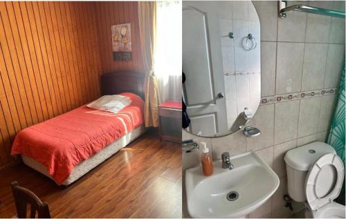 Curanilahue Hotel | Hotel Plaza Los Leones
