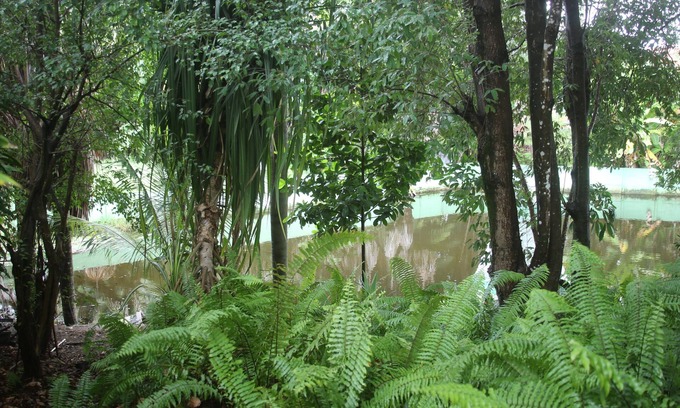 Barreirinhas Hotel | Hotel Pousada Do Buriti