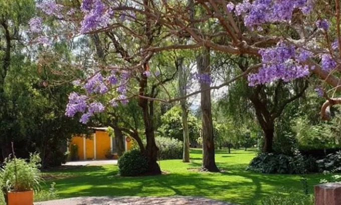 Teotihuacán Hotel | Hotel Rancho San Juan Teotihuacan