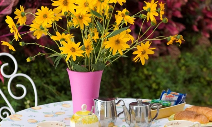 Casamicciola Terme Hotel | Hotel & Residence Matarese