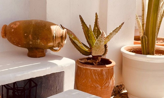 Essaouira Coast Casa | Hotel Riad California
