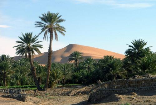 Hassilabied Cama Y Desayuno | Hotel Riad Oasis