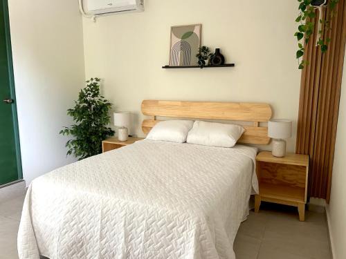 San Salvador Hotel | Hotel Rimani