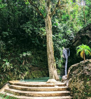 Tayutic Complejo | Hotel Rivel - Restaurant & Nature Retreat