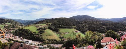 Bad Peterstal-Griesbach Hotel | Hotel Schauinsland