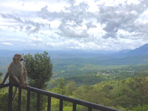 Hildummulla Hotel | Hotel SkyFall