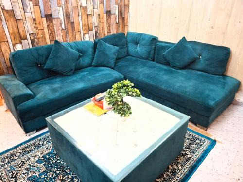 Hauz Khas Apartamento | Hotel Star Blueberry's 2