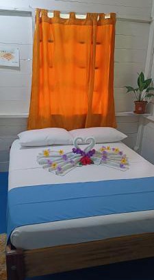 Puerto Narino Casa | Hotel Tatüane mundo Amazónico