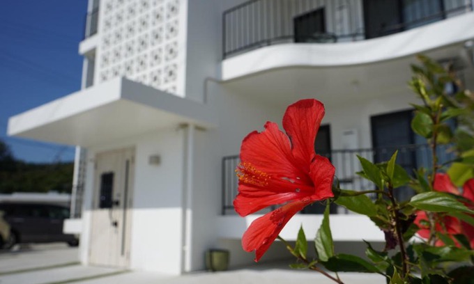 Kin Apartamento | hotel towaie