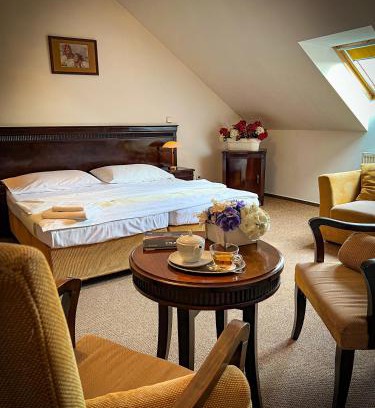 Nepomuk Hotel | Hotel U Zeleneho stromu