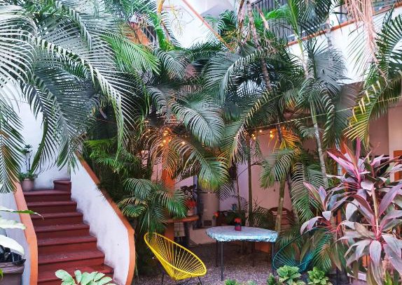 Centro Hotel | Hotel Villa Tulipanes