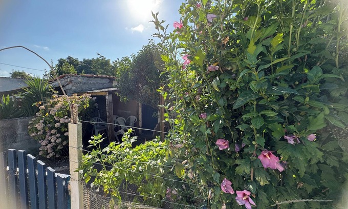 Saint Froult Casa | House 3 bedrooms 1 km from the sea natural area Moeze Oleron