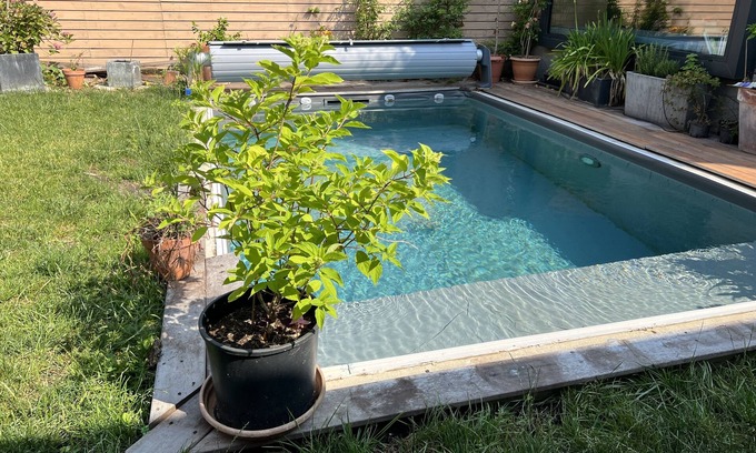 Nansouty-Saint-Genes Casa | House Center Bordeaux | Private Heated Pool & Garden