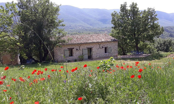 Saint-Martin-de-Castillon Casa | Encantadora casa del siglo XVIII, tranquila con piscina frente al Luberon
