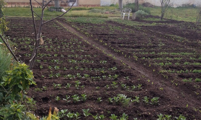Bouskoura Casa | Casa en Bouskoura con jardin