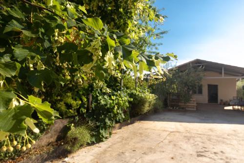 Risika Casa | House Lora