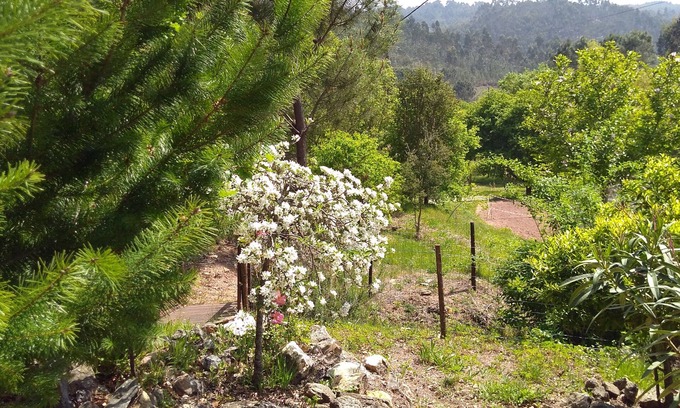 Figueiro dos Vinhos Casa | Casa Milhariça, Figueiro dos Vinhos